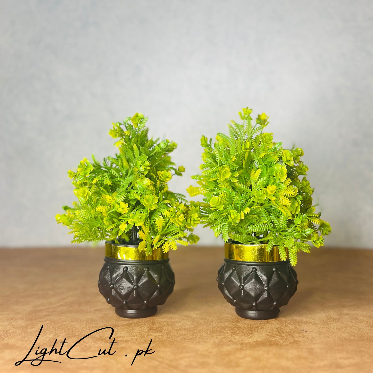 Miniature Tree planter for Home and Office Decor