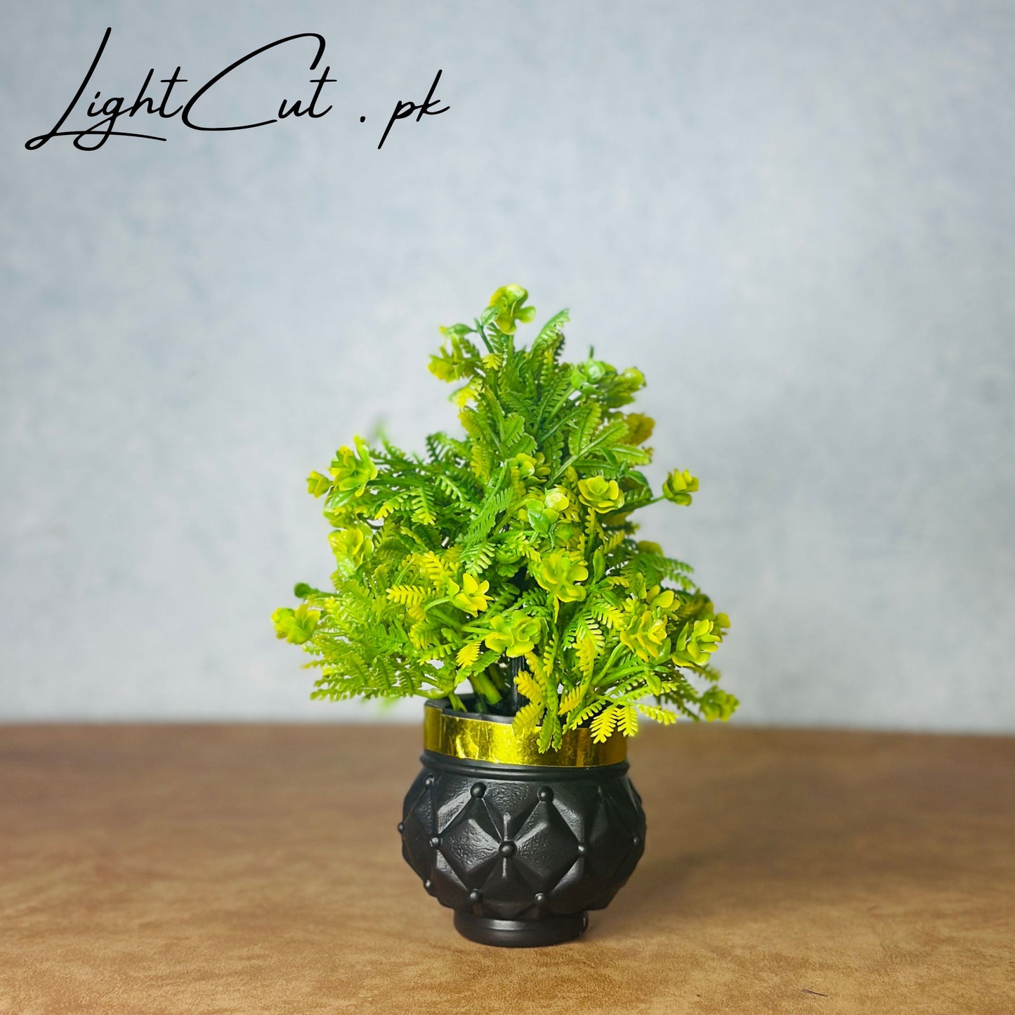 Miniature Tree planter for Home and Office Decor