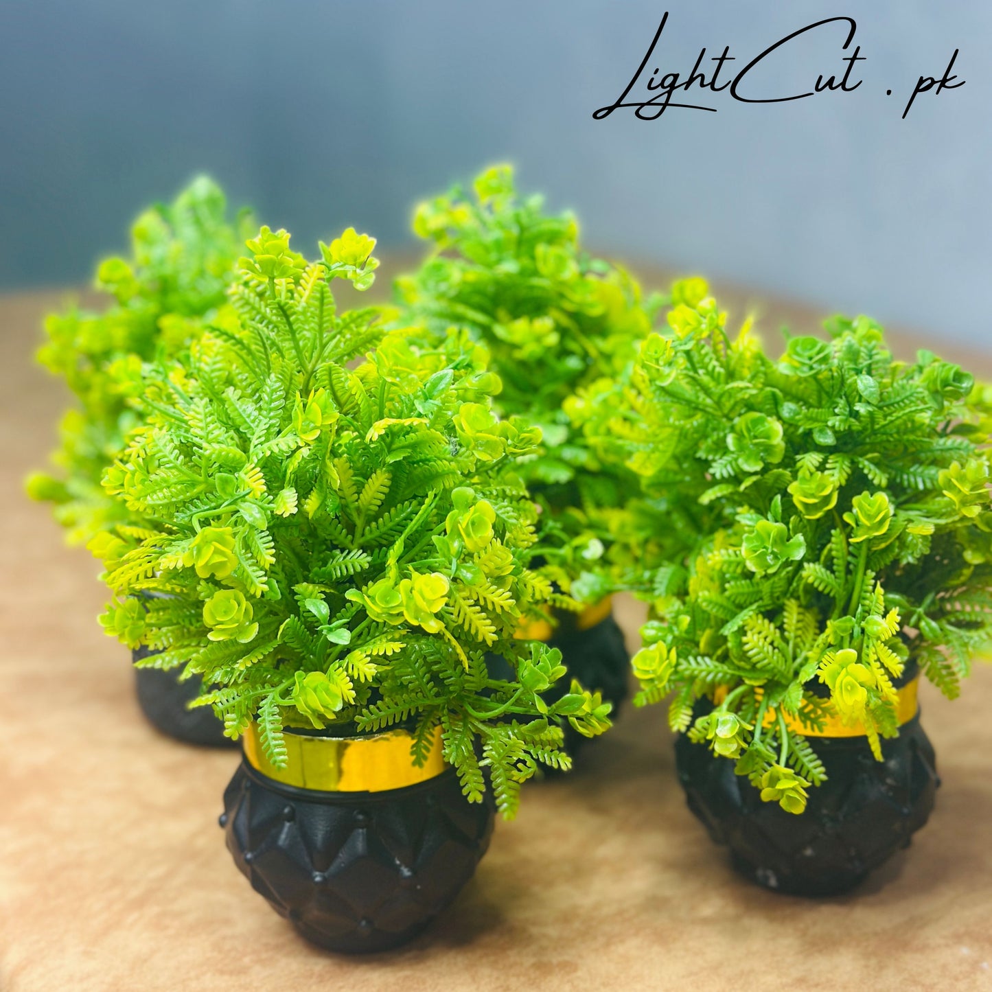 Miniature Tree planter for Home and Office Decor