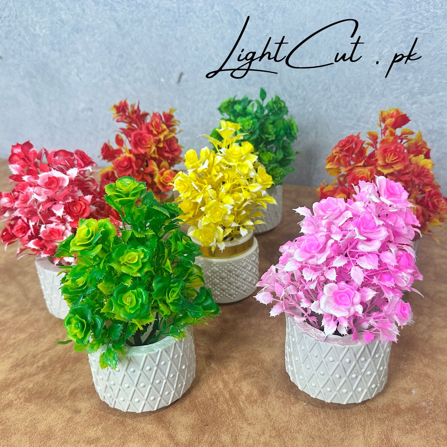 Miniature Tree planter for Home and Office Decor