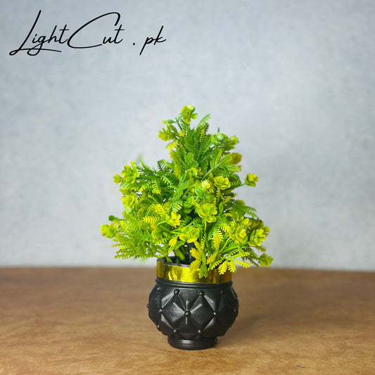 Miniature Tree planter for Home and Office Decor