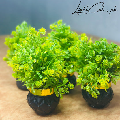 Miniature Tree planter for Home and Office Decor