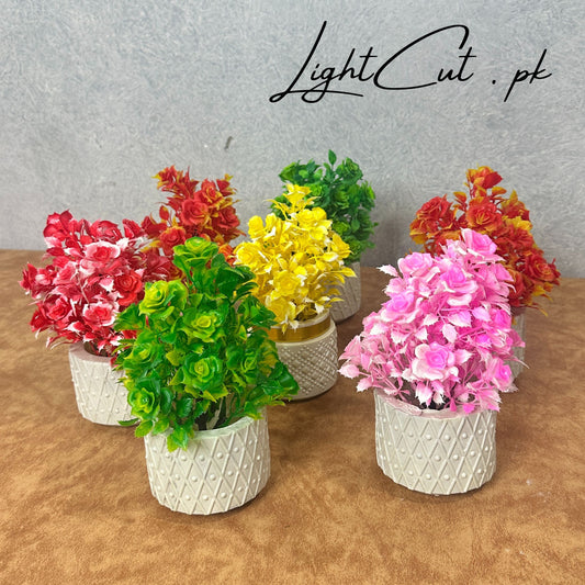 Miniature Tree planter for Home and Office Decor